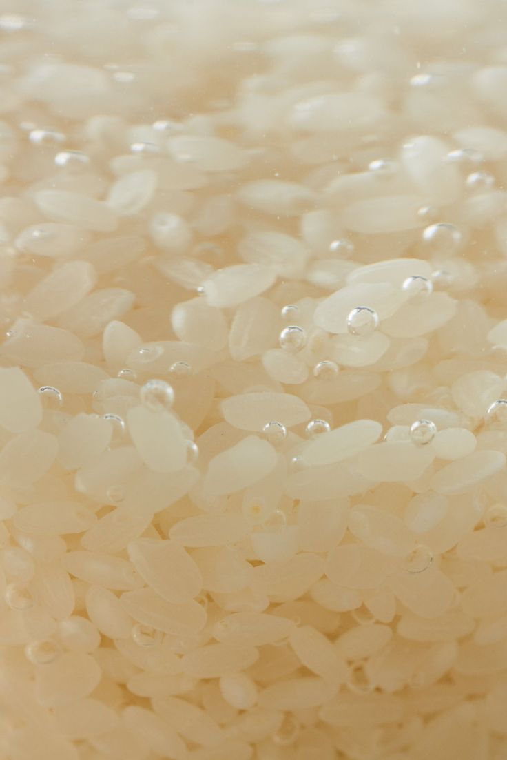Rice Ferment Complex