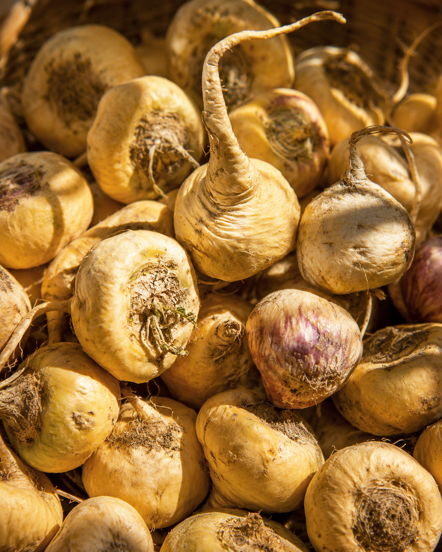Maca Root Peptide