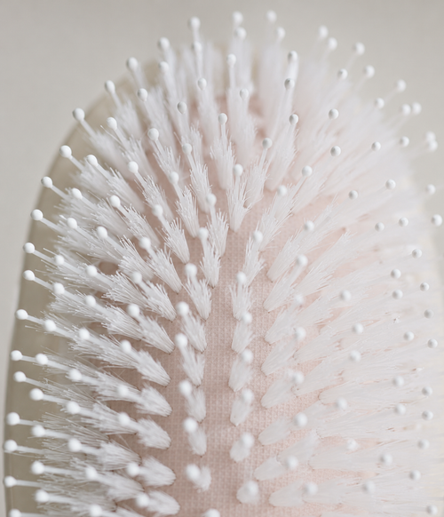 The Finishing Brush